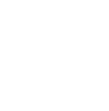SOFTNEX INDIA 